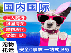 唐山机场物流国际宠物托运 【国